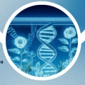 International Conference on Biotechnology and Bioinformatics