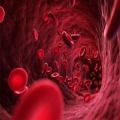 8th Annual Hematology and Oncology for NPs and PAs 2024