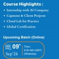 Data Scientist Online Classes in Malaysia
