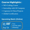 Online Data Analyst Certification in New Zealand