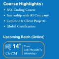Data Analyst Online Sessions in Australia