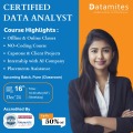 Offline Data Analyst Course in Pune