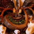 LOVE SPELL CASTER ╬  +27826623707 ╬ SANGOMA / TRADITIONAL HEALER/ SPIRITUAL HEALER   IN Uganda, South africa Nairobi, Naivasha, Taitaveta, Bungoma Riftvalley, garisa Wajir, Kisi, Nakuru, bungoma, Western Mombasa, Dodama, Mombasa, Kampala, Kawempe, Jinja, 