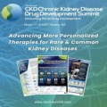 7th CKD3 Summit 2025