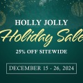 Holiday Sale 2024