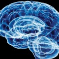 International Conference on Neuroscience