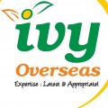 Best Overseas education consultants in Hyderabad