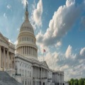 Echocardiography in the Nation's Capital: Practical Review of A_d_u_l_t Echocardiography