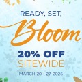 Spring Sale 2025
