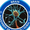 International Conference on Brain Disorders and Therapeutics