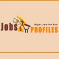 Virtual IT Job Fair 2025 – Powered by Jobs 'n' Profiles