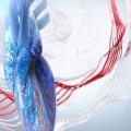 2025 Interventional Cardiology Online Board Review