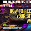 THE HACK ANGELS  RECOVERY EXPERT
