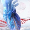 2025 Interventional Cardiology Online Board Review
