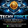 TRUSTED AND EXPERIENCED BITCOIN RECOVERY SERVICE. HIRE TECHY FORCE CYBER RETRIEVAL
