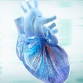 2025 A_d_u_l_t C_o_n_g_e_n_i_t_a_l Heart Disease Online Board Review