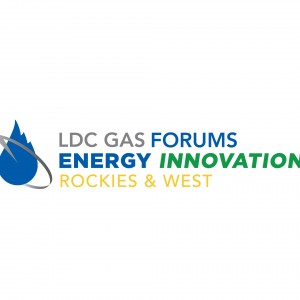 https://www.ldcgasforums.com/rw_agenda/