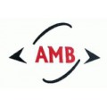 AMB ELECTRONIC SYSTEM TECH PRIVATE LIMITED