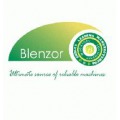 BLENZOR TM (INDIA)