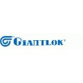 GIANTLOK INDIA PVT. LTD.