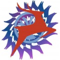 NAR INTERNATIONAL