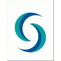 SUPREME SILICONES INDIA PRIVATE LIMITED