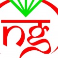 Nanglia Gems Co. Ltd.