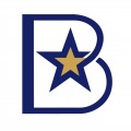 Bluestar Corporation