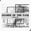 Leader Of The Pack Consulting