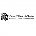 Zebra Plains Collection