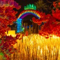 Imaginarium Ontario Mills