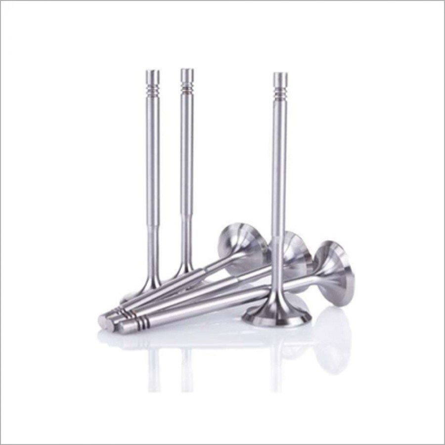 Automative Engine Valves