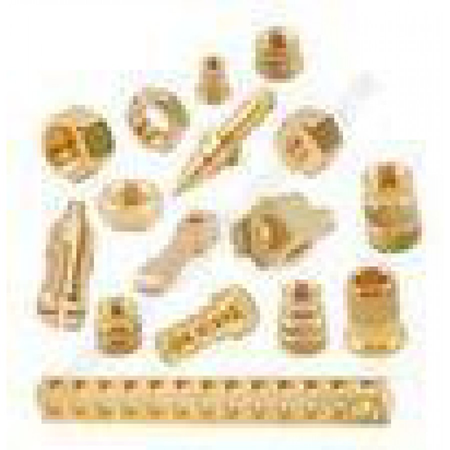 BHARGAV Brass Auto Parts