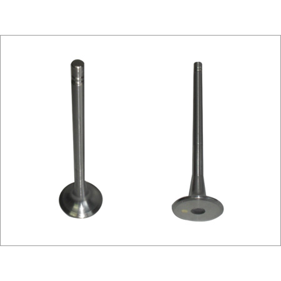 Engine Valves 