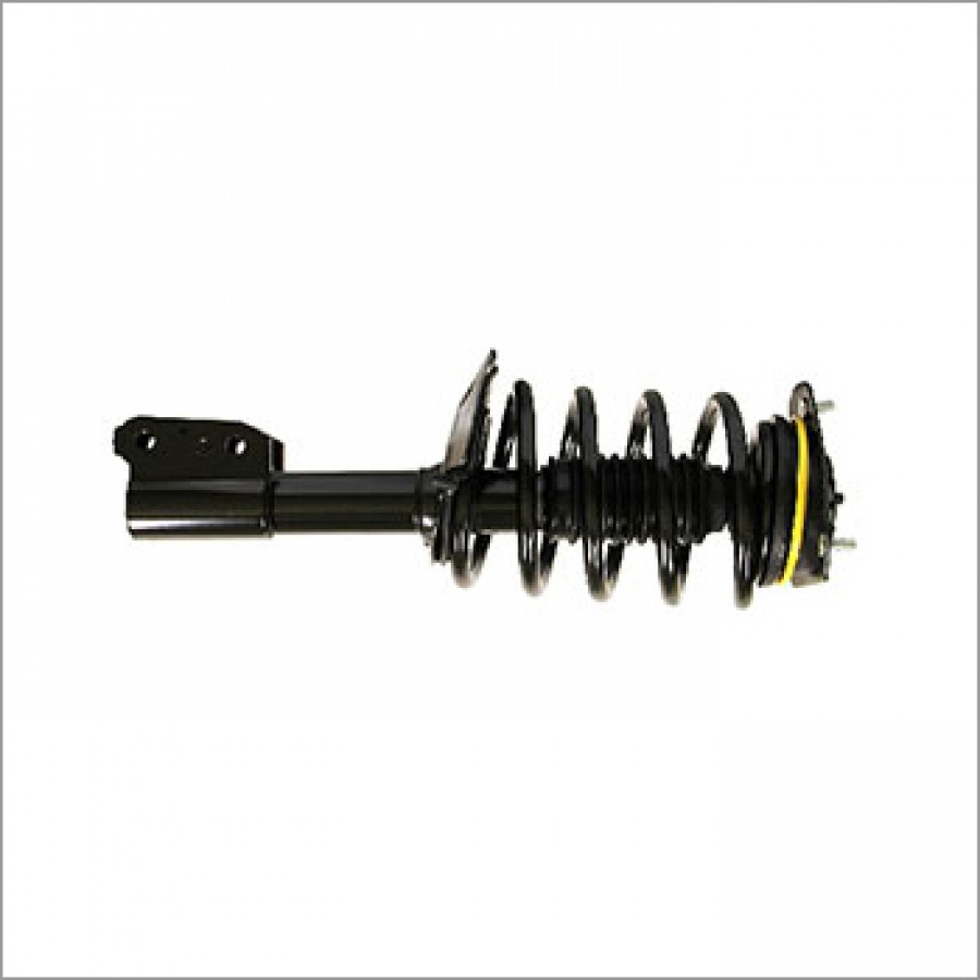 Front Spring And Strut
