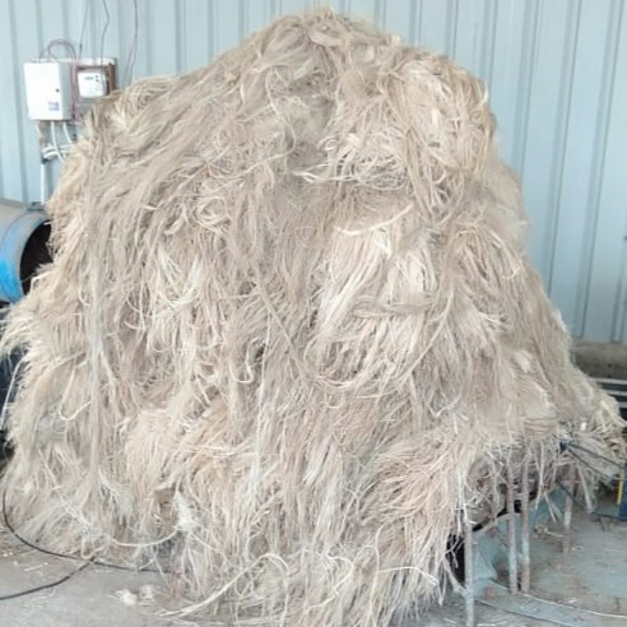 Banana Fiber