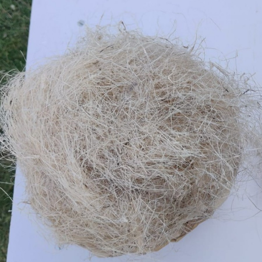 Banana Fiber