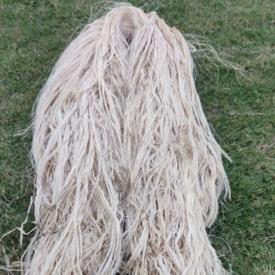 Banana Fiber