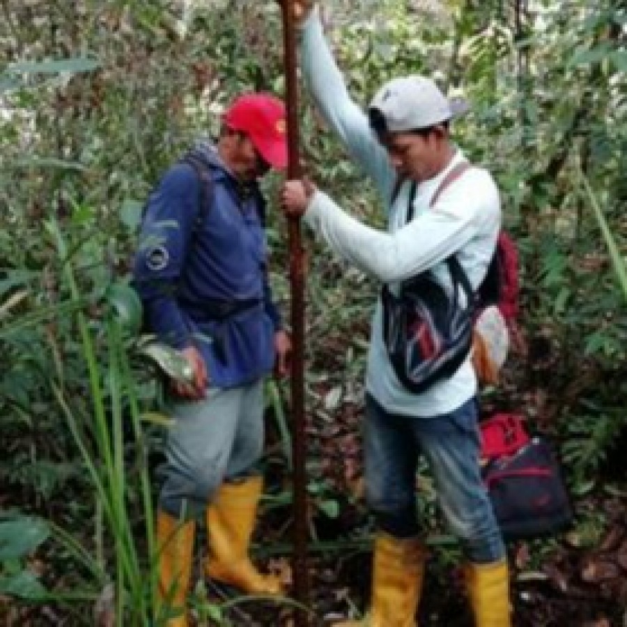SOIL SURVEY