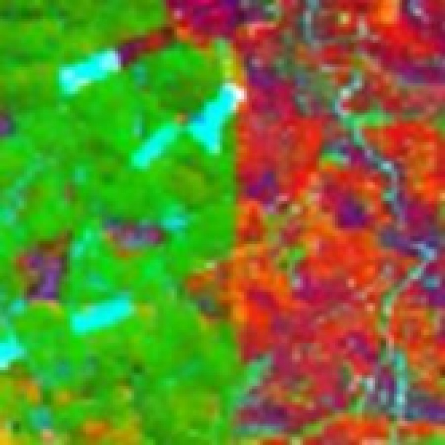 GIS DATABASE DEVELOPMENT