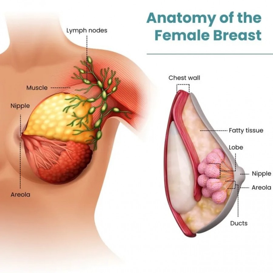 Breast MRI Midtown Manhattan