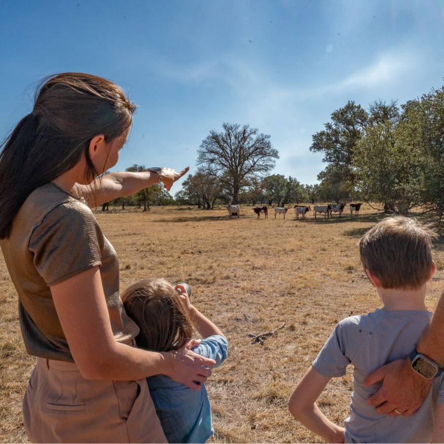 Artemis Ranch & Retreat
