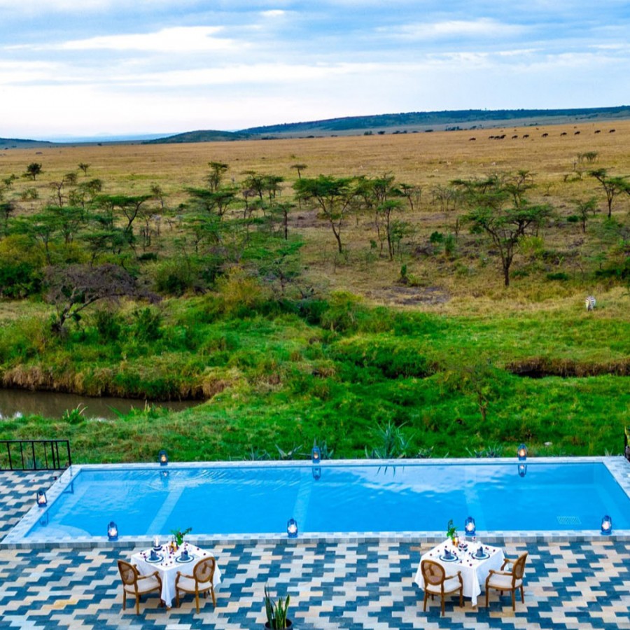 Zebra Plains Collection