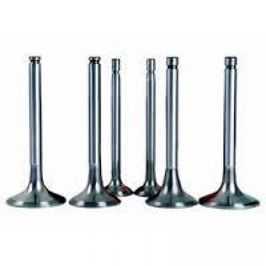 Tractor Engine Valve