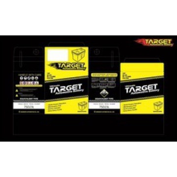 Auto Battery