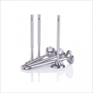 Automative Engine Valves
