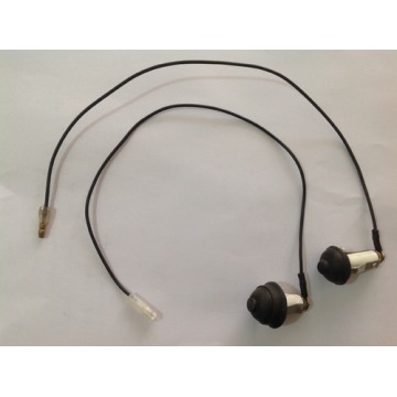 Automotive Door Switches