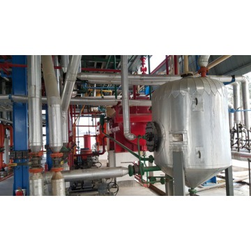 Continuous Physical Refining Plant