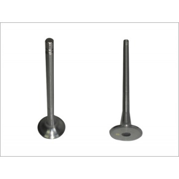 Engine Valves 