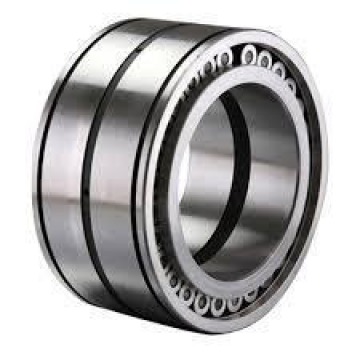 Fiat Bearing 
